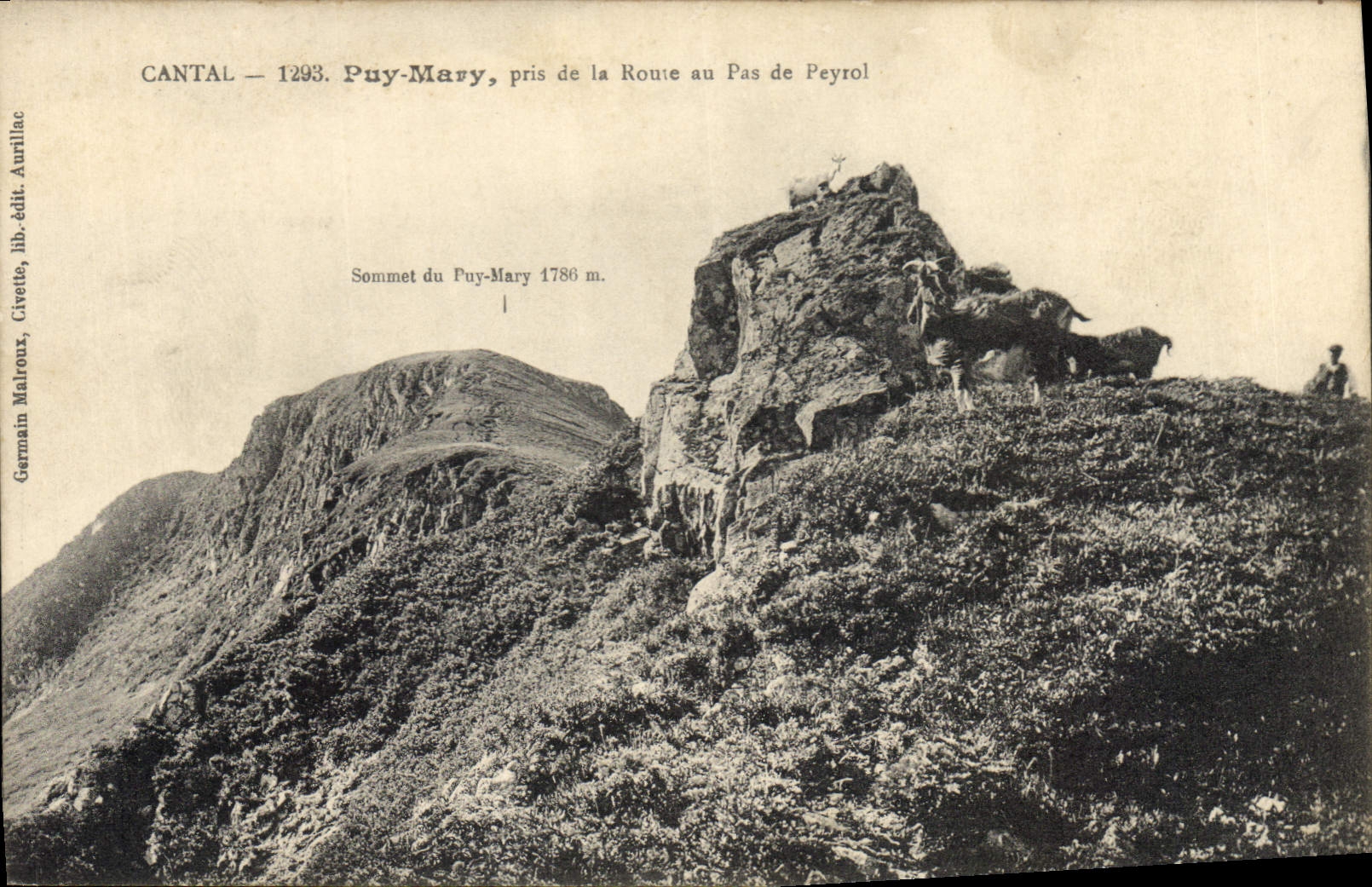 CPA Cantal Puy Mary pris de la Route au Pas de Peyrol 