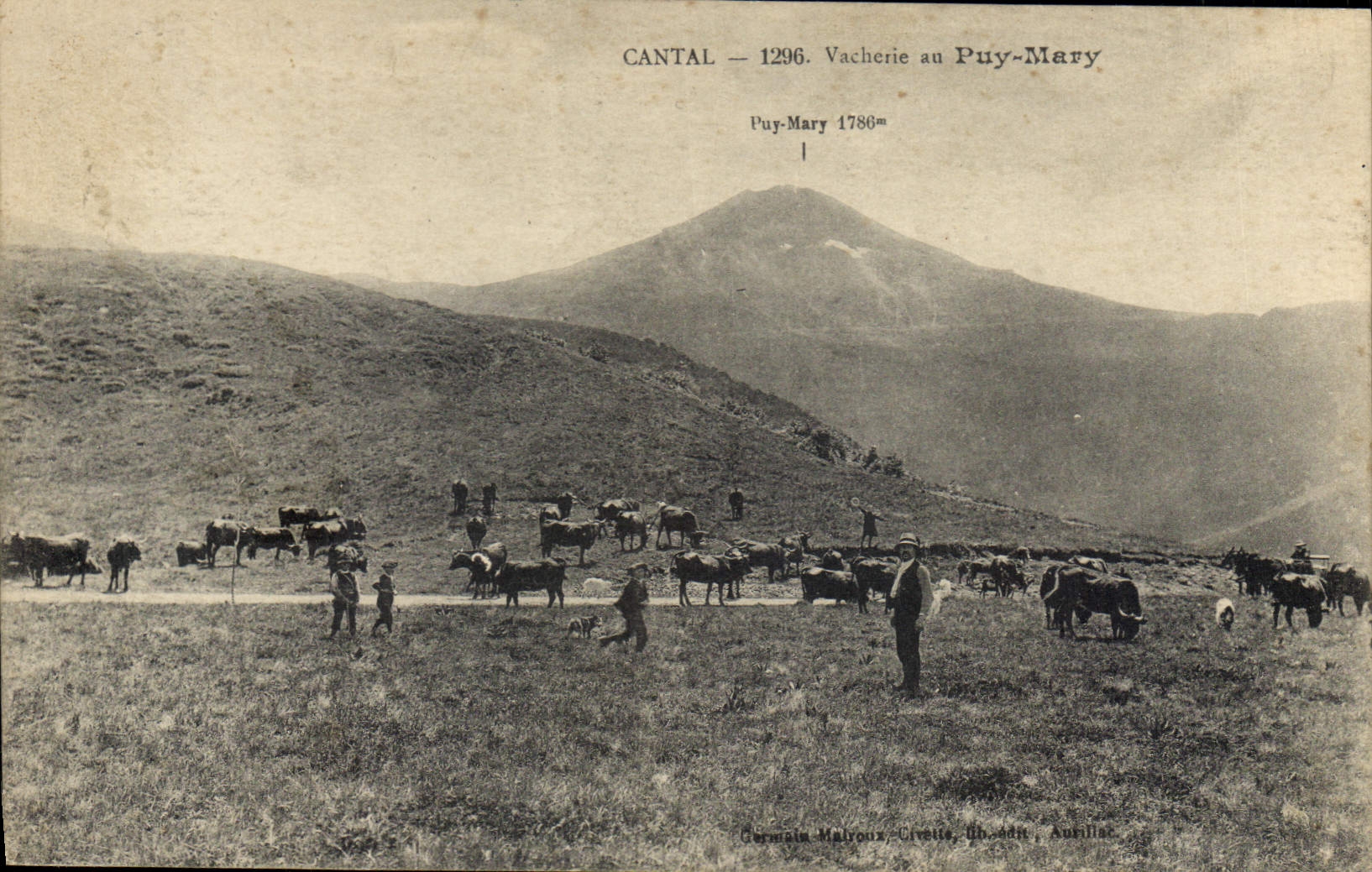 CPA Cantal Vacherie au Puy Mary 