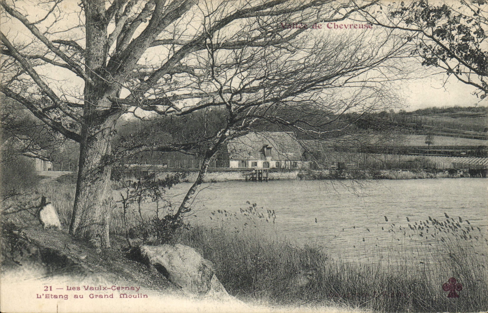 Les Vaulx-Cernay — L'Étang au Grand Moulin — Vallée de Chevreuse