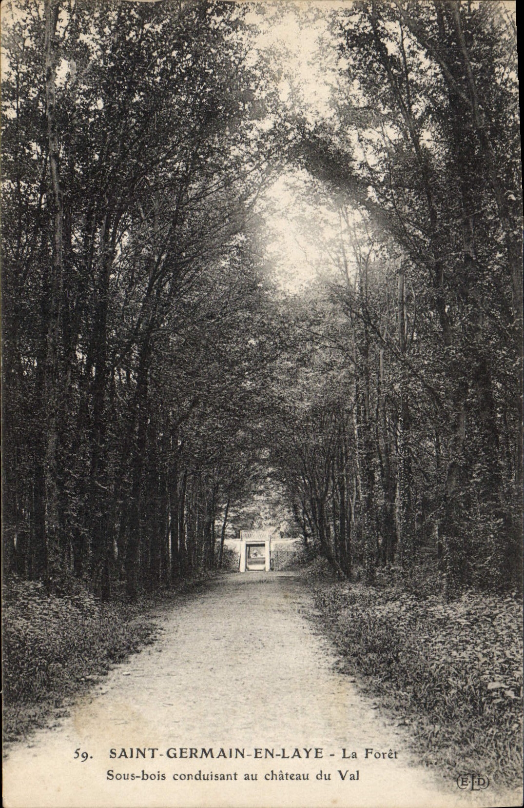 CPA Saint Germain en Laye la Foret sous Bois conduisant au chateau du Val 