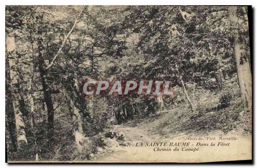 CPA La Sainte Baume Dans la Foret Chemin du Canape 