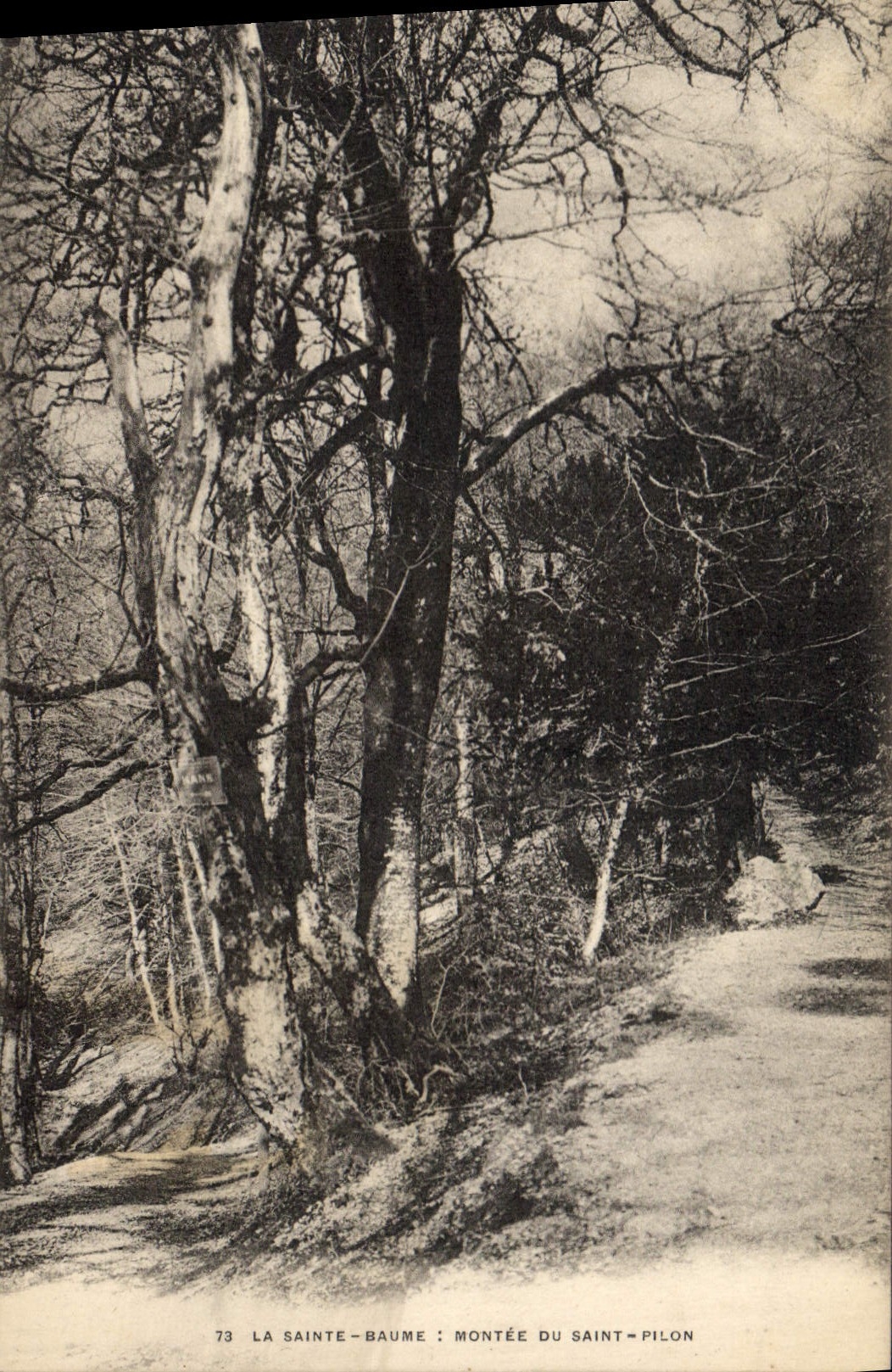 La Sainte-Baume: Ascent of Saint-Pilon — Publisher: Établissements Dimpressions Manouis