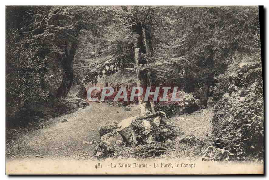 La Sainte-Baume - The Forest, The Canapé — Phototypie La Laponne, n°481