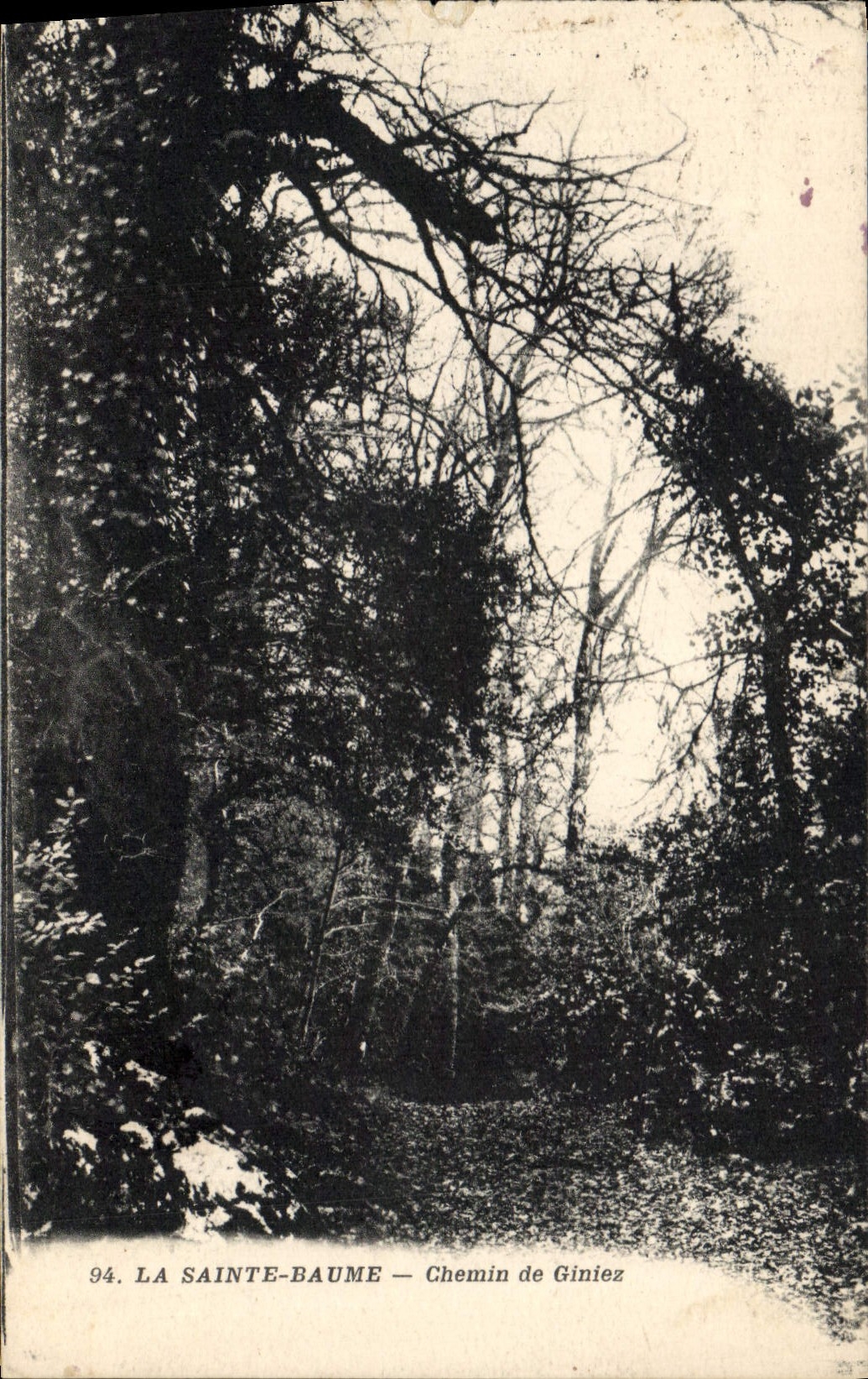 La Sainte-Baume — Chemin de Giniez — 94