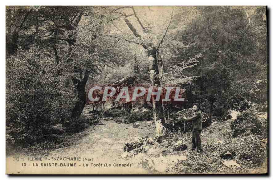 La Sainte-Baume - La Forêt (Le Canapé) — St-Zacharie (Var) — éditeur non identifié, n° 13