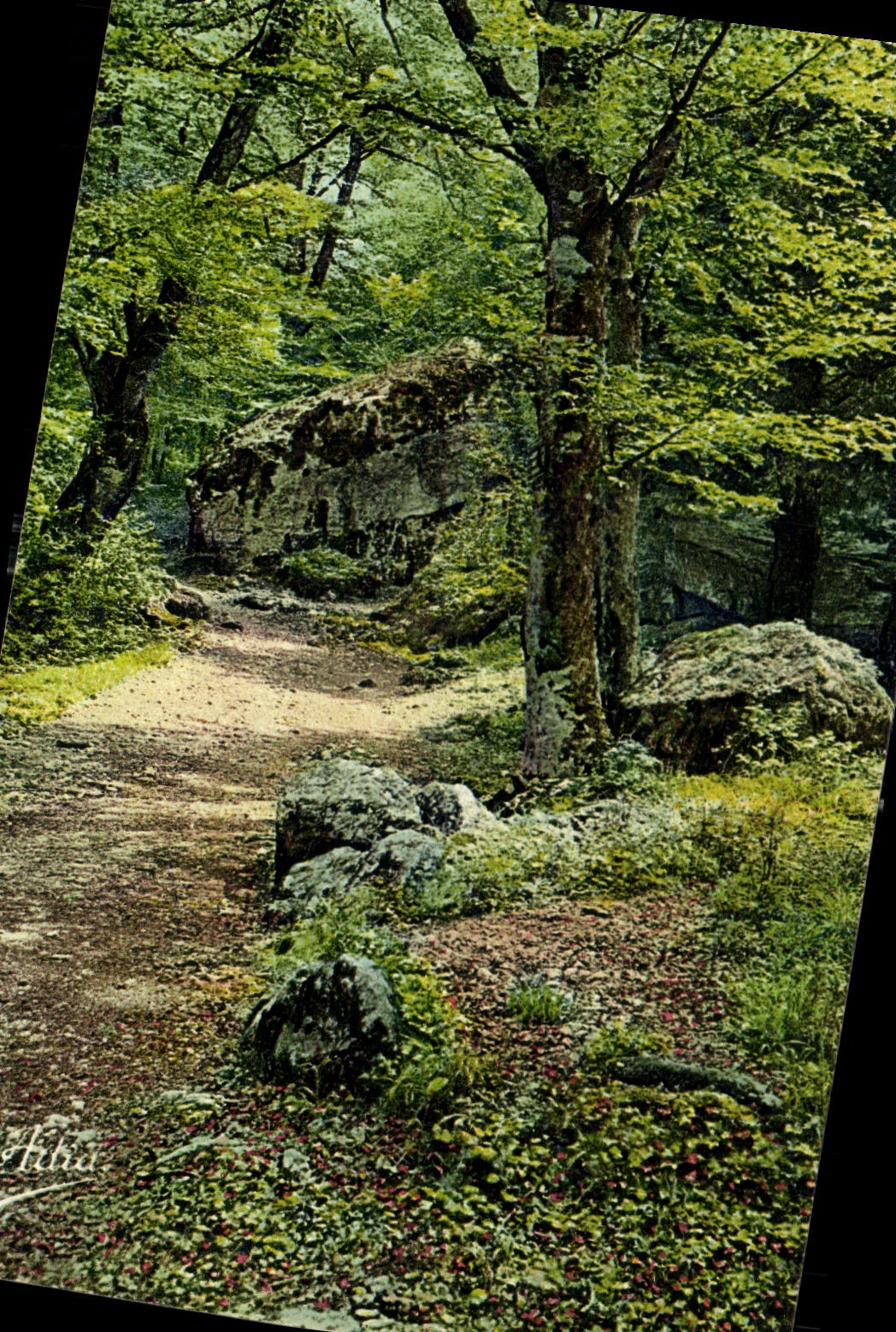 Forêt de la Sainte-Baume — sentier et rochers — Les Belles Éditions Françaises, Nice
