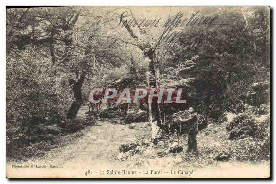 CPA La Sainte Baume La Foret Le Canape 