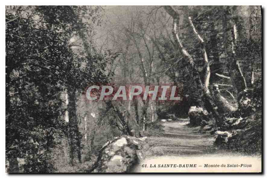 La Sainte-Baume — Montée du Saint-Pilon — CPAPHIL n°61