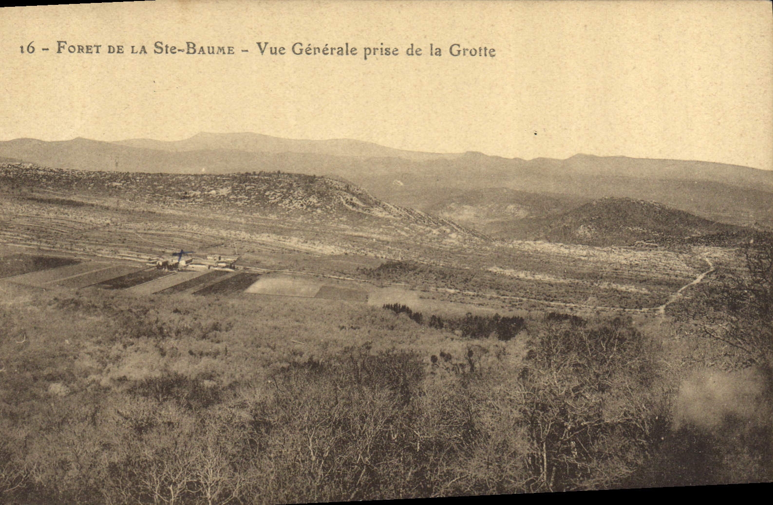Forest of Ste-Baume — General View Taken from the Cave — n°16