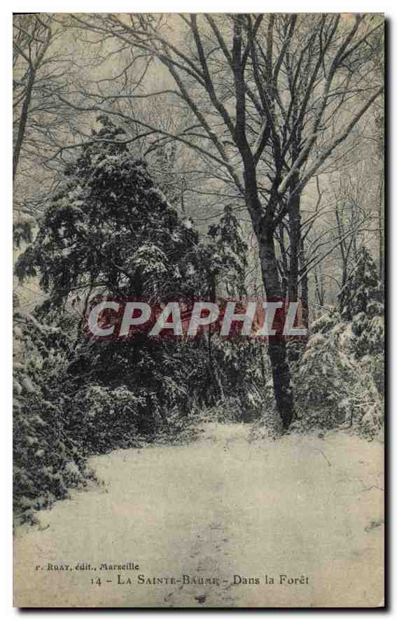 La Sainte-Baume — In der Wald — R. Ruat, Verlag, Marseille, n°14