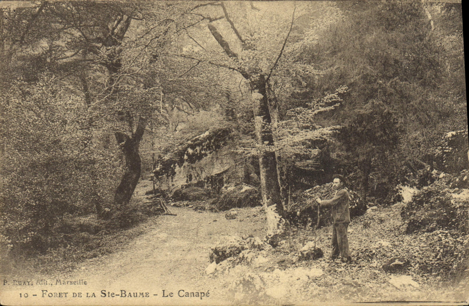 Forêt de la Ste-Baume - Le Canapé — P. Ruat, Marseille, n°10