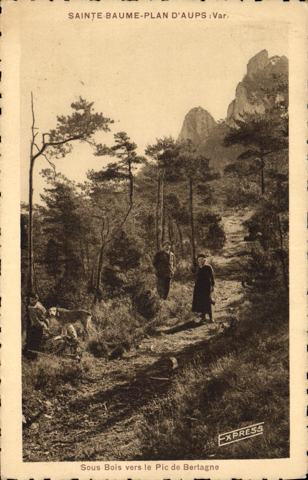 Sous Bois vers le Pic de Bertagne — Sainte-Baume-Plan d'Aups (Var) — Éditeur : International-Express