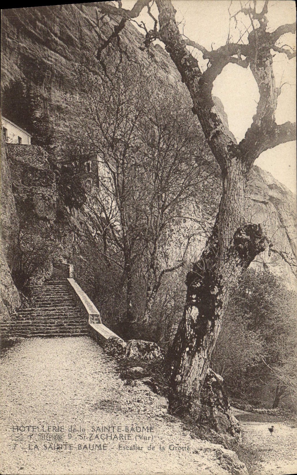 Escalier de la Grotte — Sainte-Baume (Var) — Hôtellerie de la Sainte-Baume