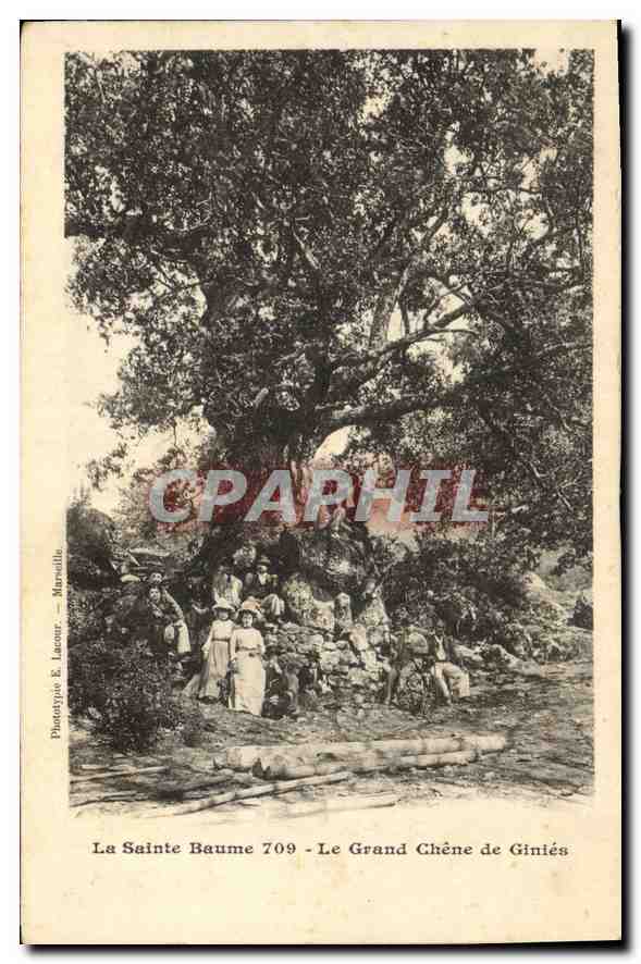 La Sainte Baume 709 - Le Grand Chêne de Giniés — Phototypie E. Lacer, Marseille
