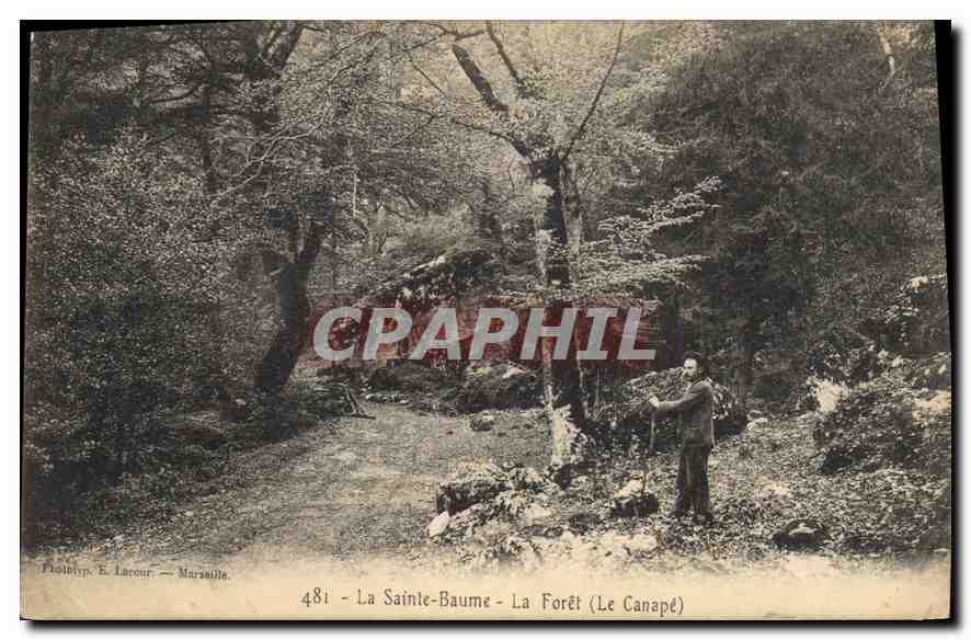 CPA La Sainte Baume La Foret Le Canape 