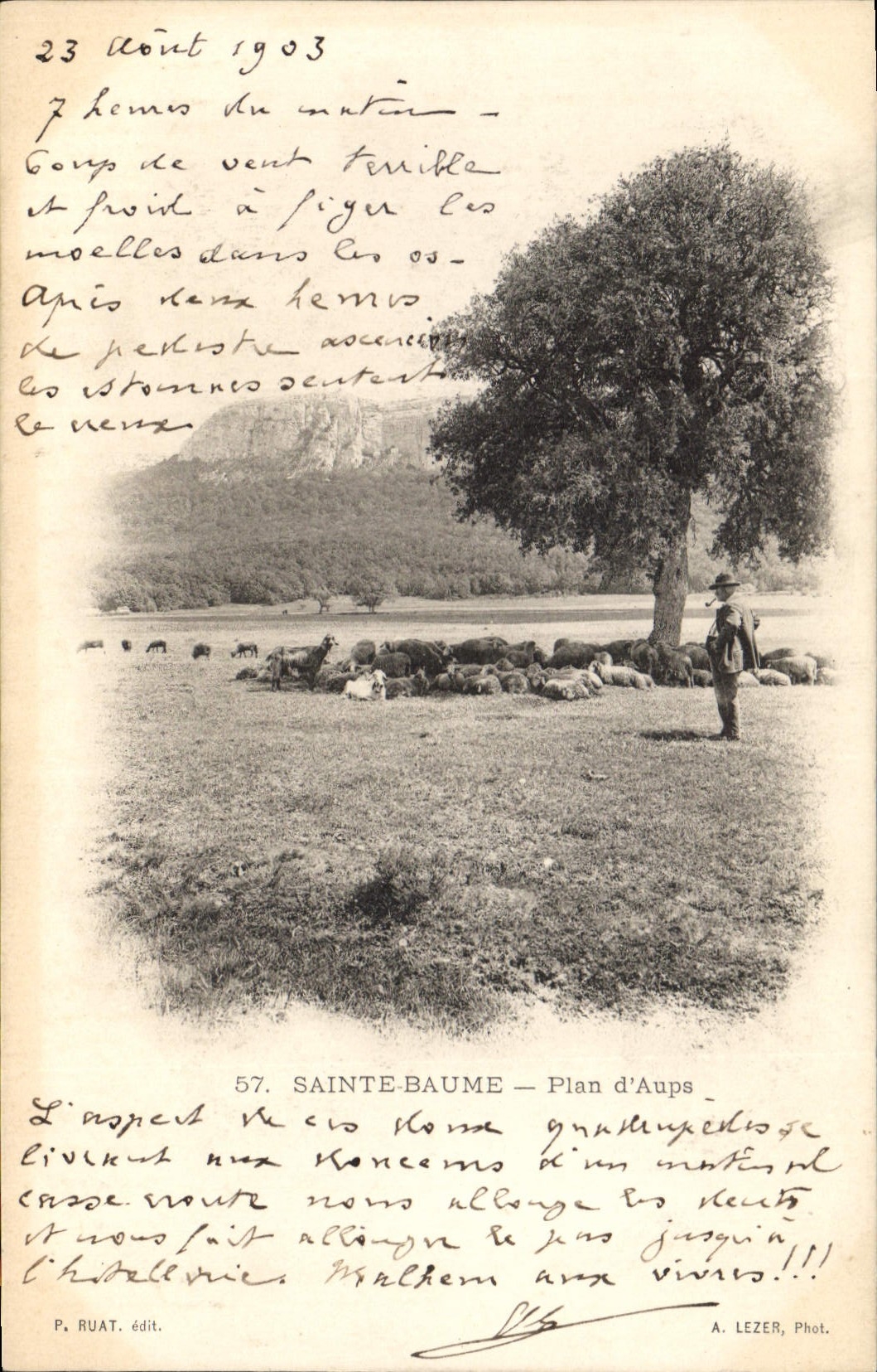 Sainte-Baume — Plan d'Aups — A. Lezer, Phot. — n°57