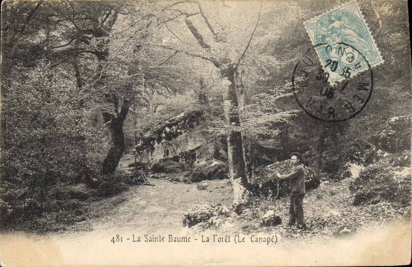 CPA La Sainte Baume La Foret Le Canape 