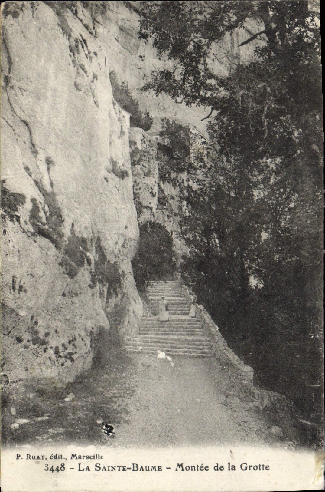 CPA La Sainte Baume Montee de la Grotte 