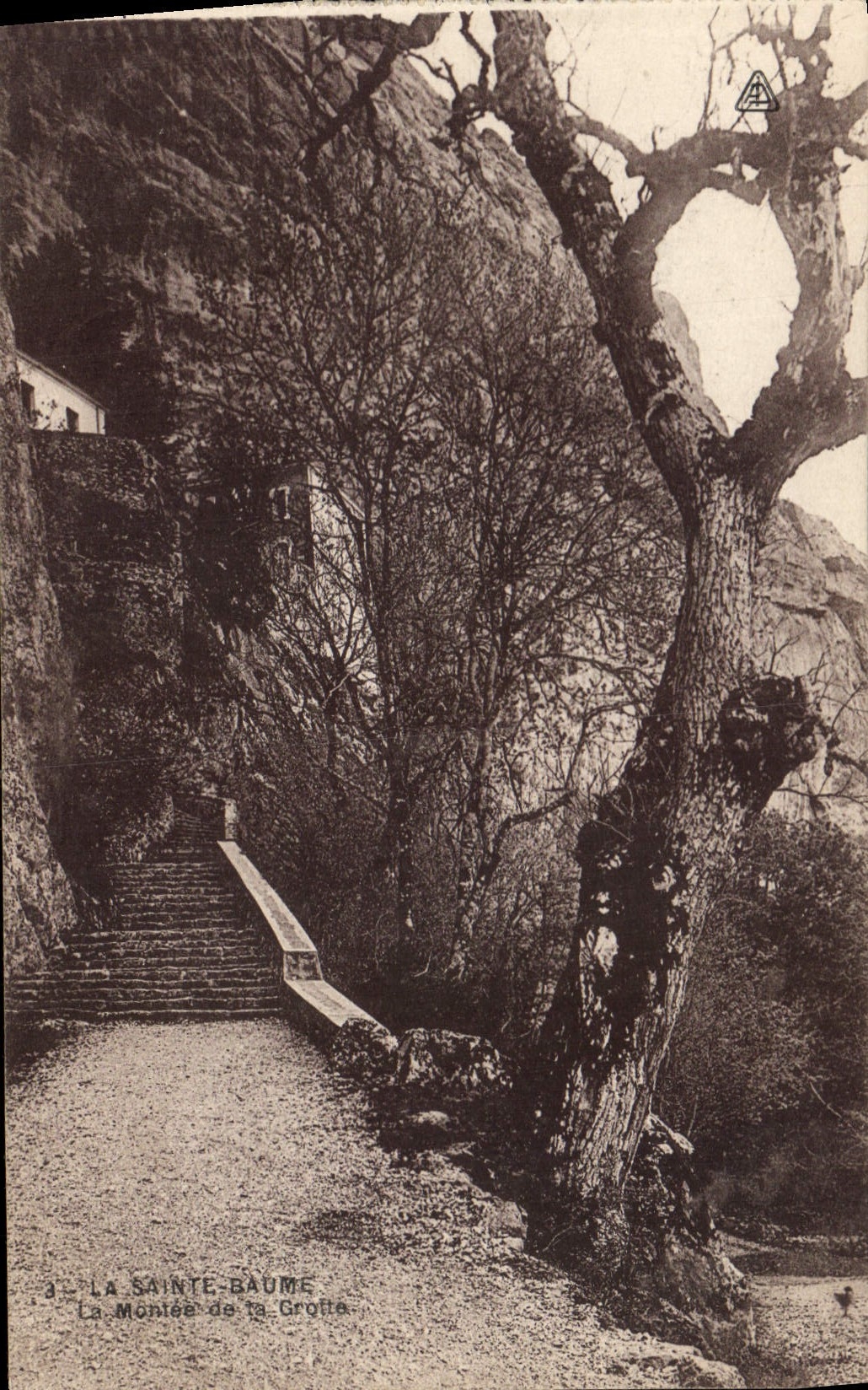 CPA La Sainte Baume la Montee de la Grotte 