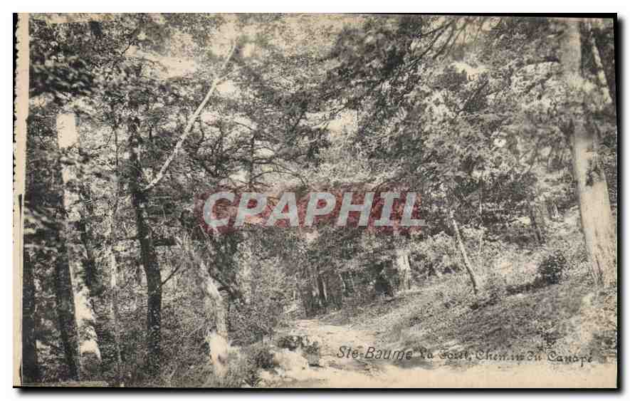 CPA Ste Baume La Foret Chemin du Canape 