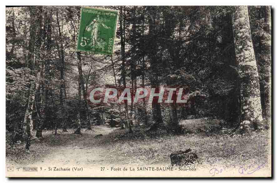 CPA Foret de la Sainte Baume Sous bois 
