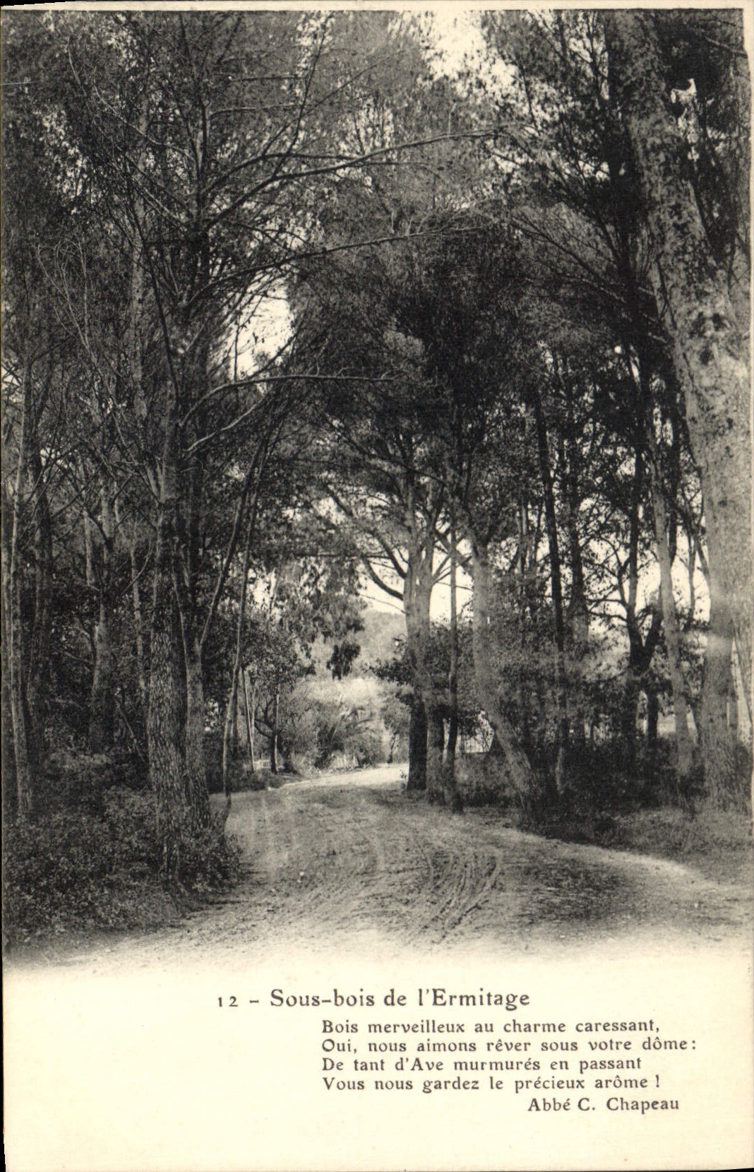 CPA Sous bois de l'Ermitage 