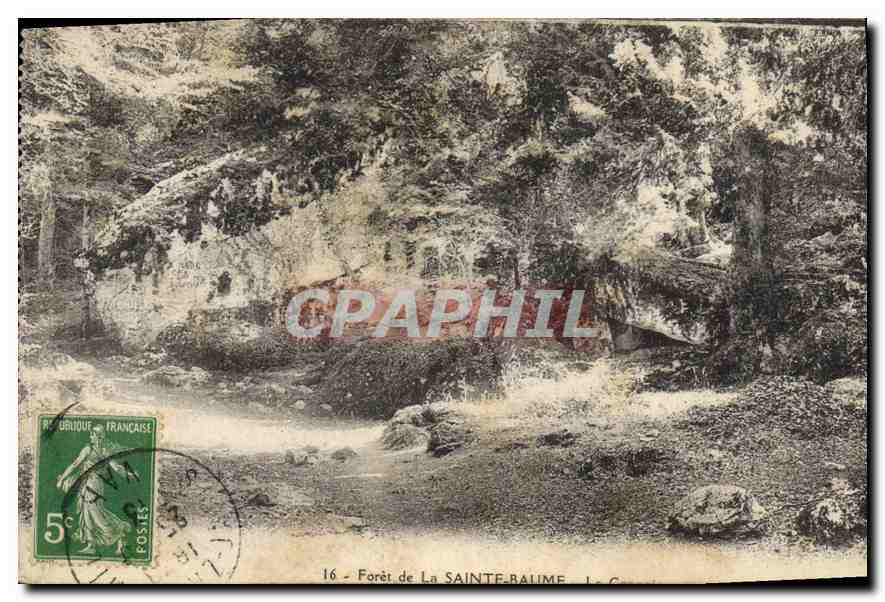 CPA Foret de la Sainte Baume 