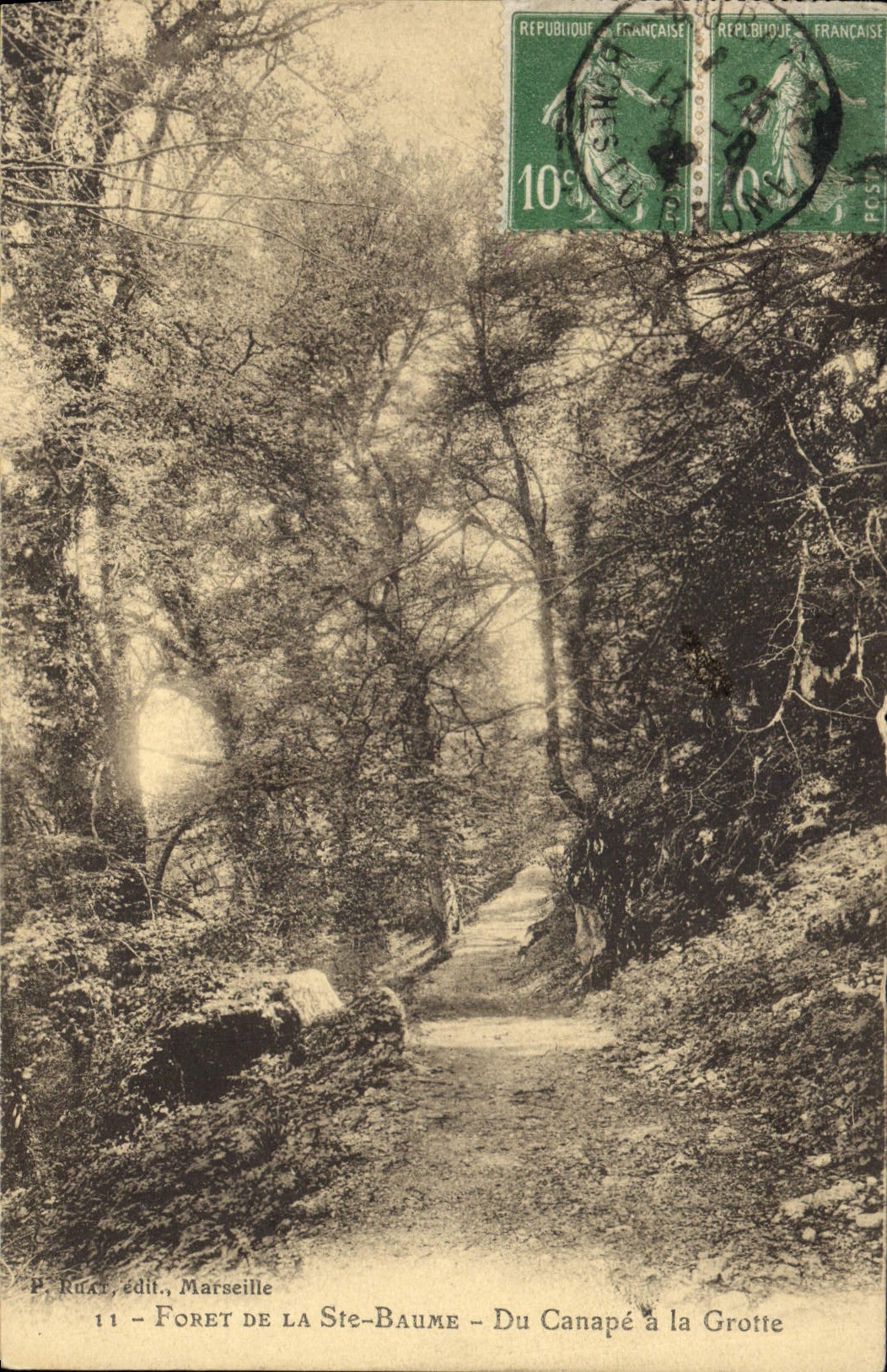 CPA Foret de la Ste Baume Du Canape a la Grotte 