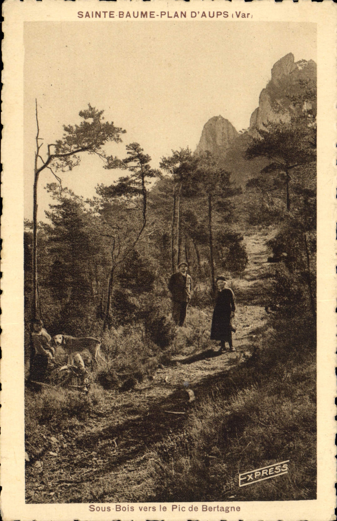 CPA Sainte Baume Plan d'Aups Var Sous Bois vers le Pic de Bretagne 