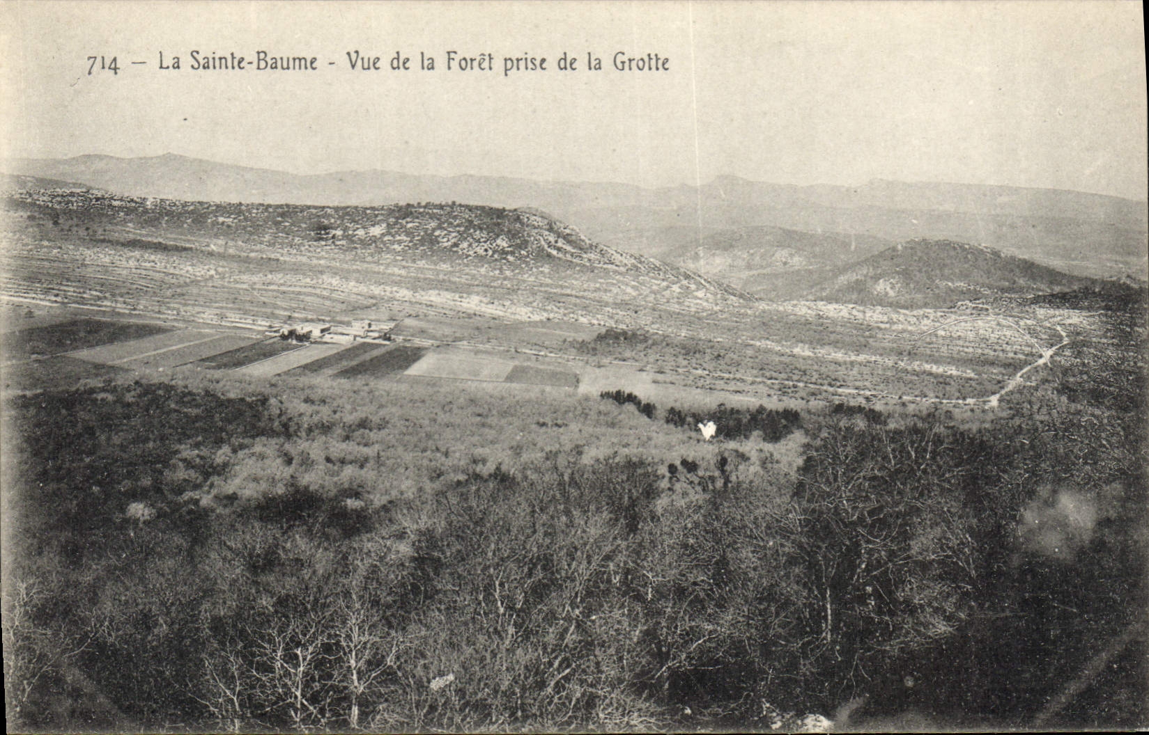 CPA La Sainte Baume Vue de la Foret prise de la Grotte 