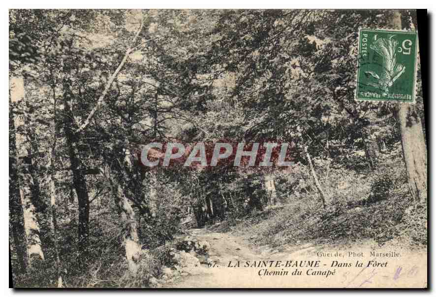 CPA La Sainte Baume Dans la Foret Chemin du Canape 