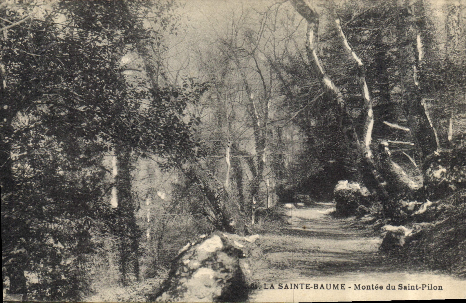 CPA La Sainte Baume Montee du Saint Pilon 