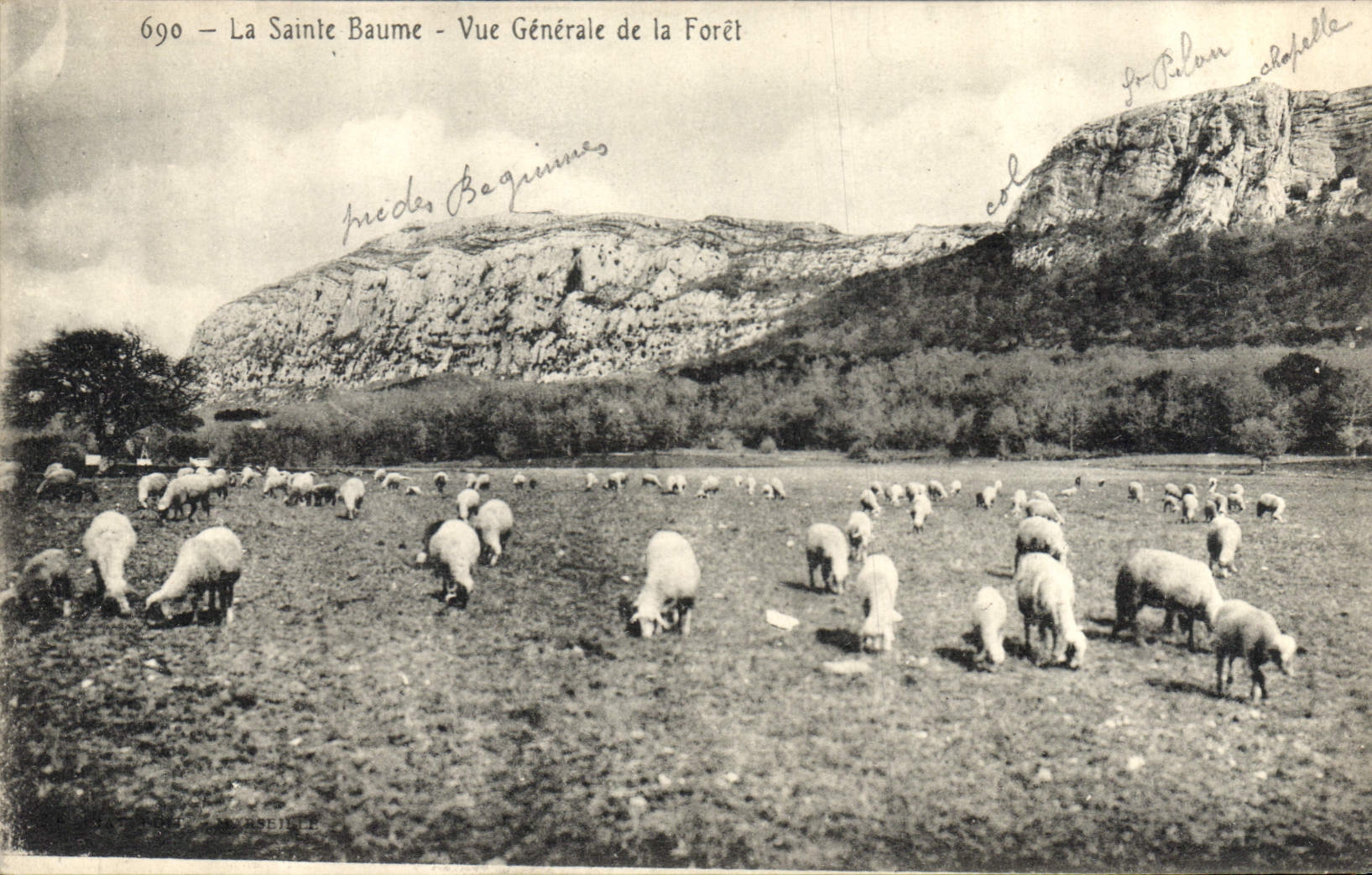 CPA La Sainte Baume Vue Generale de la Foret 