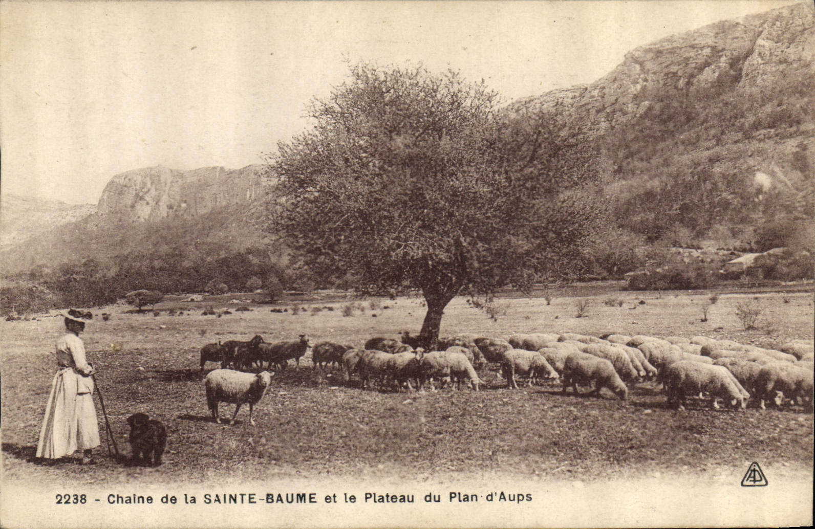 Chaine de la Sainte-Baume et le Plateau du Plan-d'Aups — vue pastorale avec bergère et moutons — éditeur A.P. n° 2238