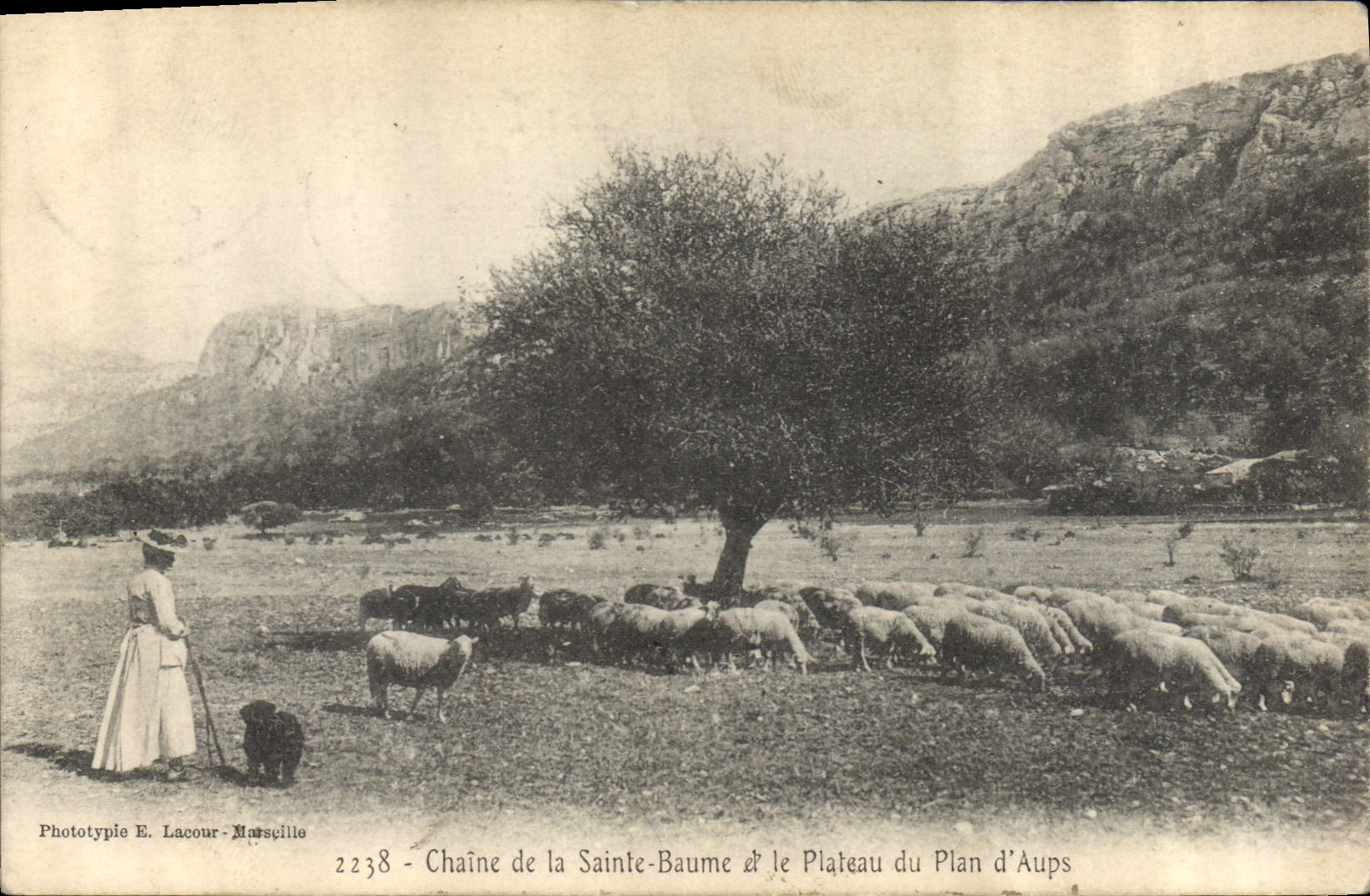 Chaîne de la Sainte-Baume et le Plateau du Plan d'Aups — Phototypie E. Lacour-Marseille, n°2238