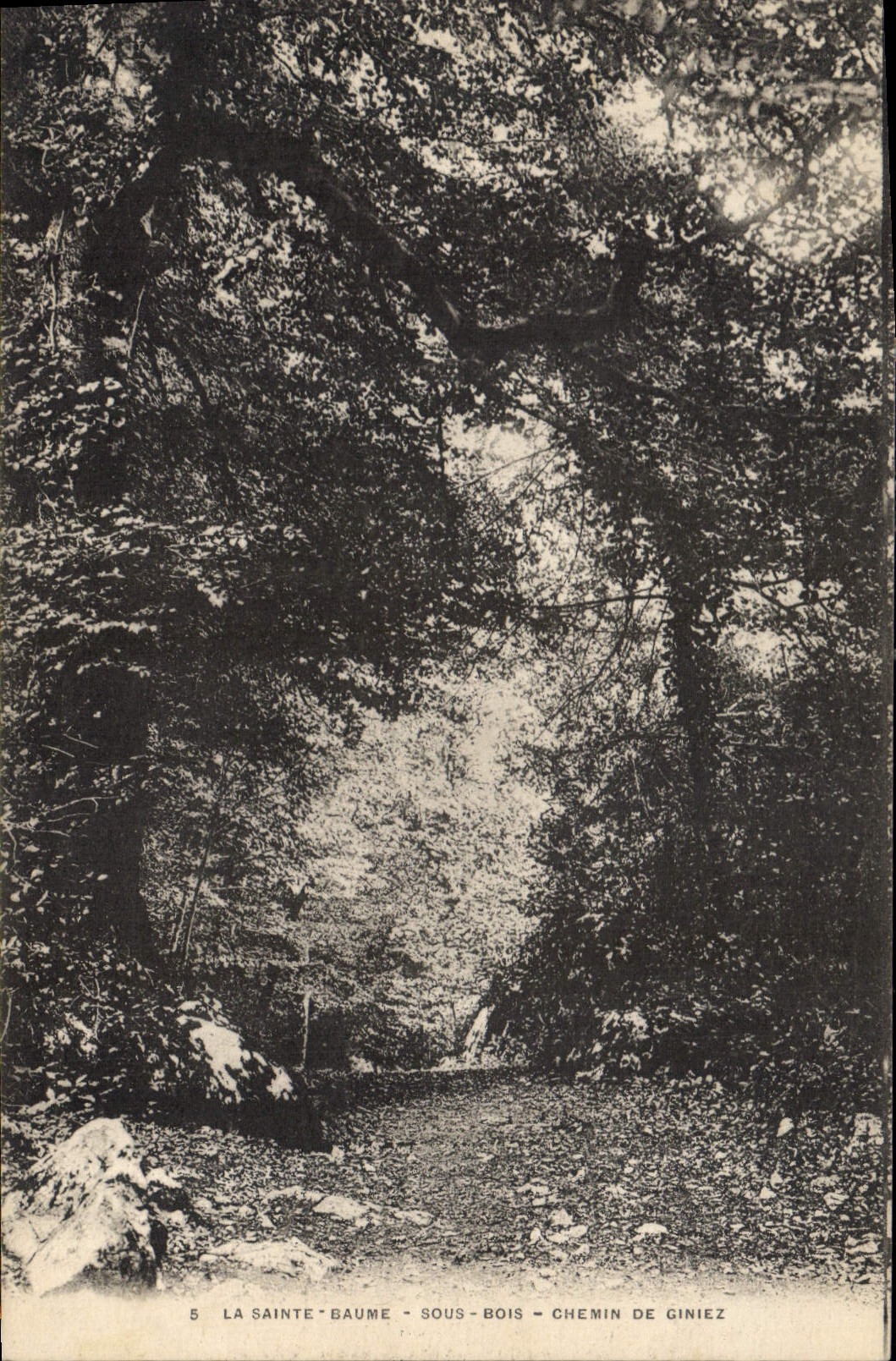 CPA La Sainte Baume Sous Bois Chemin de Giniez 