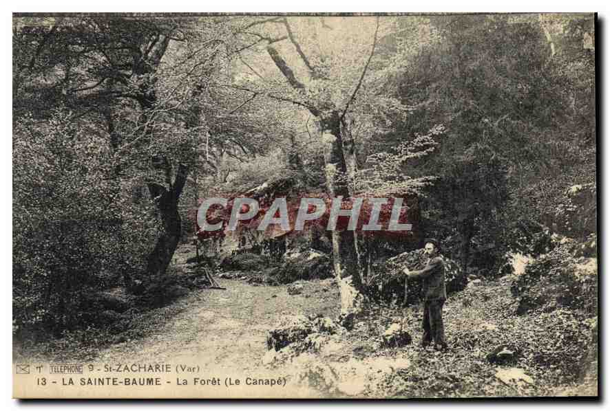 CPA La Sainte Baume La Foret Le Canape 