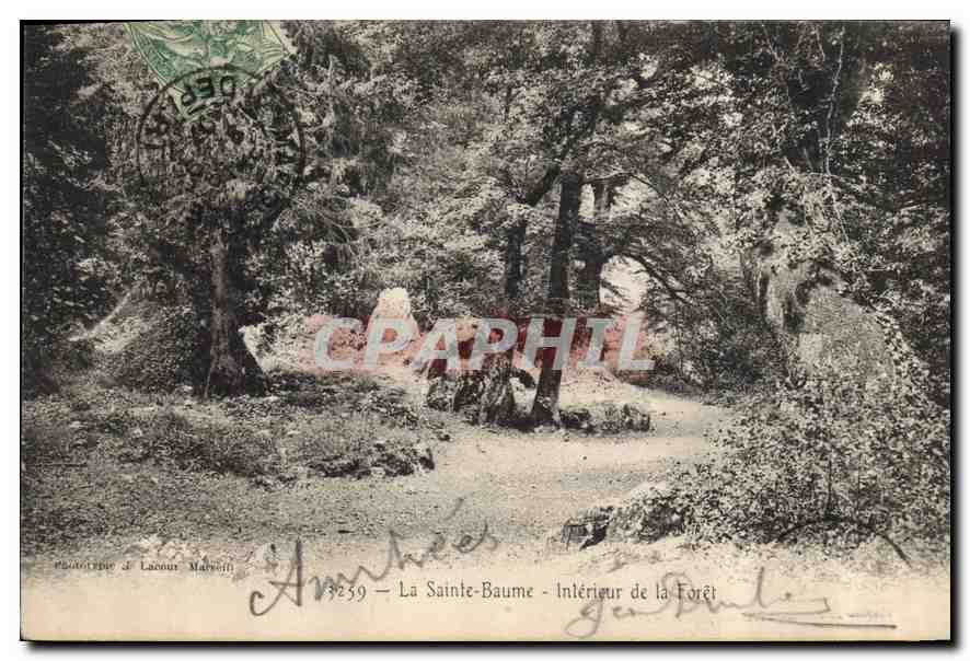 CPA La Sainte Baume Interieur de la Foret 