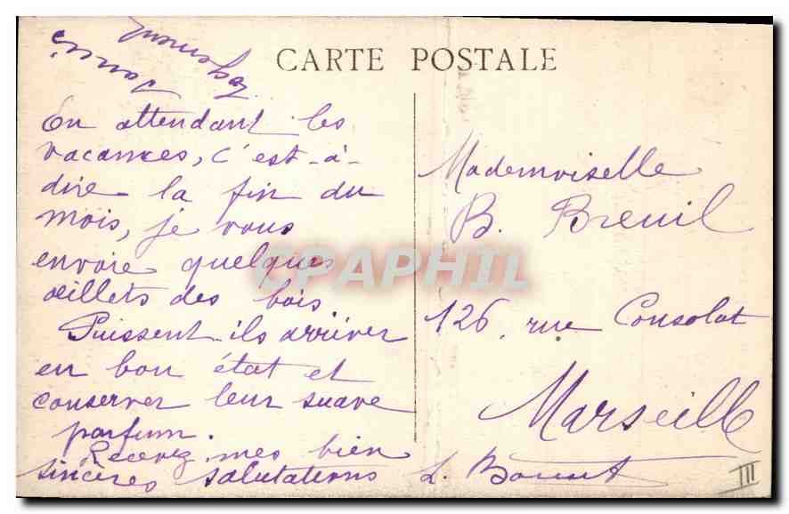 CPA La Sainte Baume Le grand chene dans la foret  — Verso