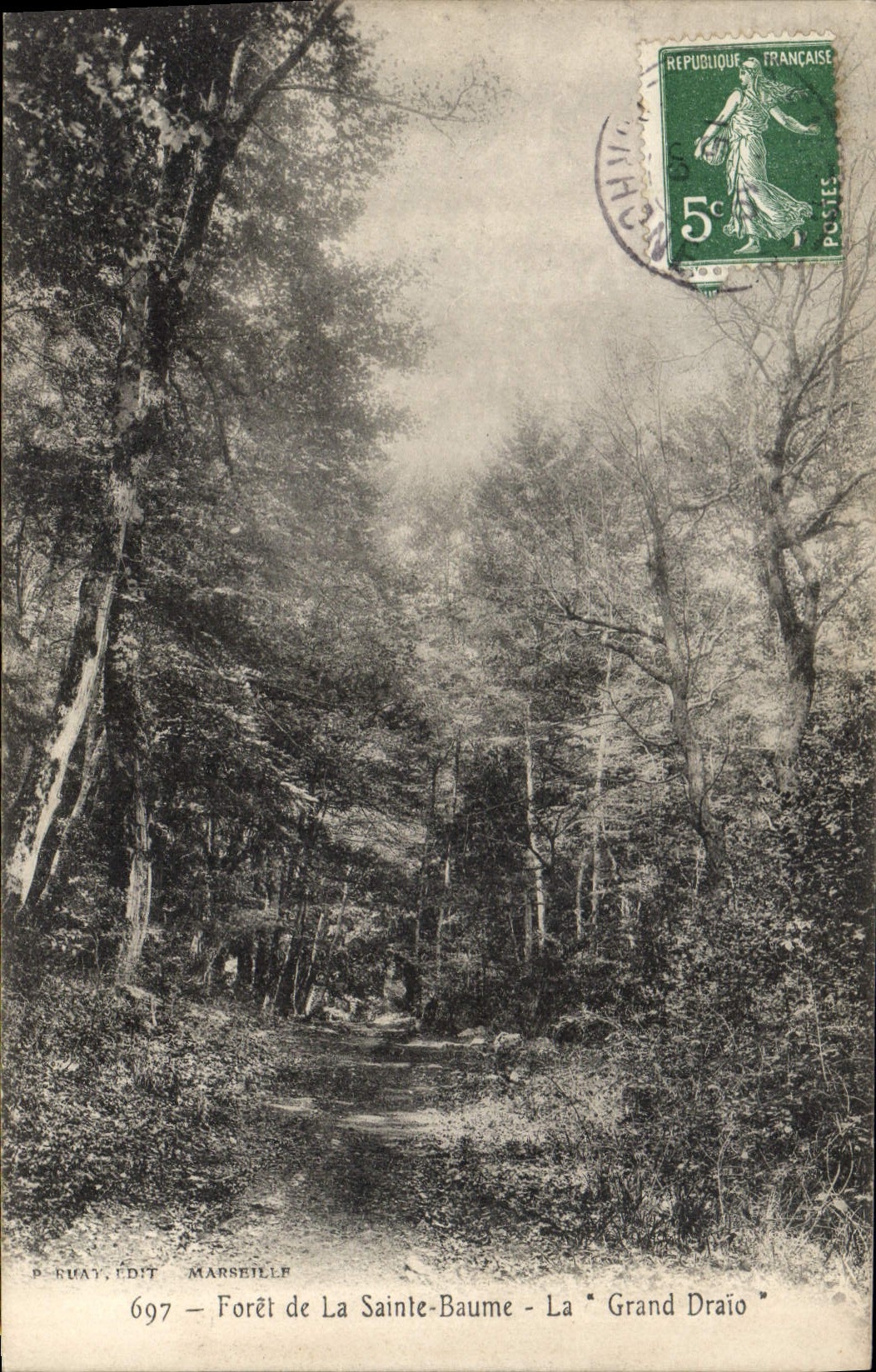 Forêt de La Sainte-Baume - La "Grand Draïo" — P. Euat, Édit, Marseille, n°697