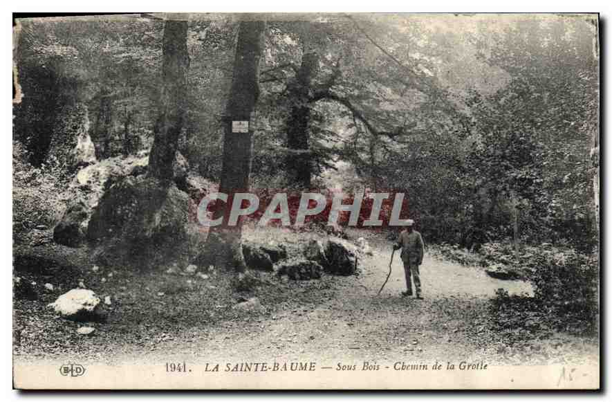 CPA La Sainte Baume Sous Bois de la Grotte 