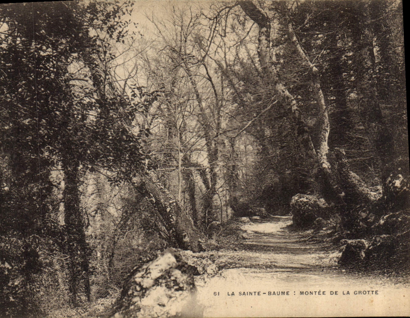 CPA La Sainte Baume Montee de la Grotte 