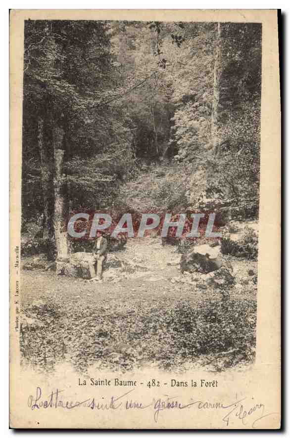 CPA La Sainte Baume Dans la Foret 