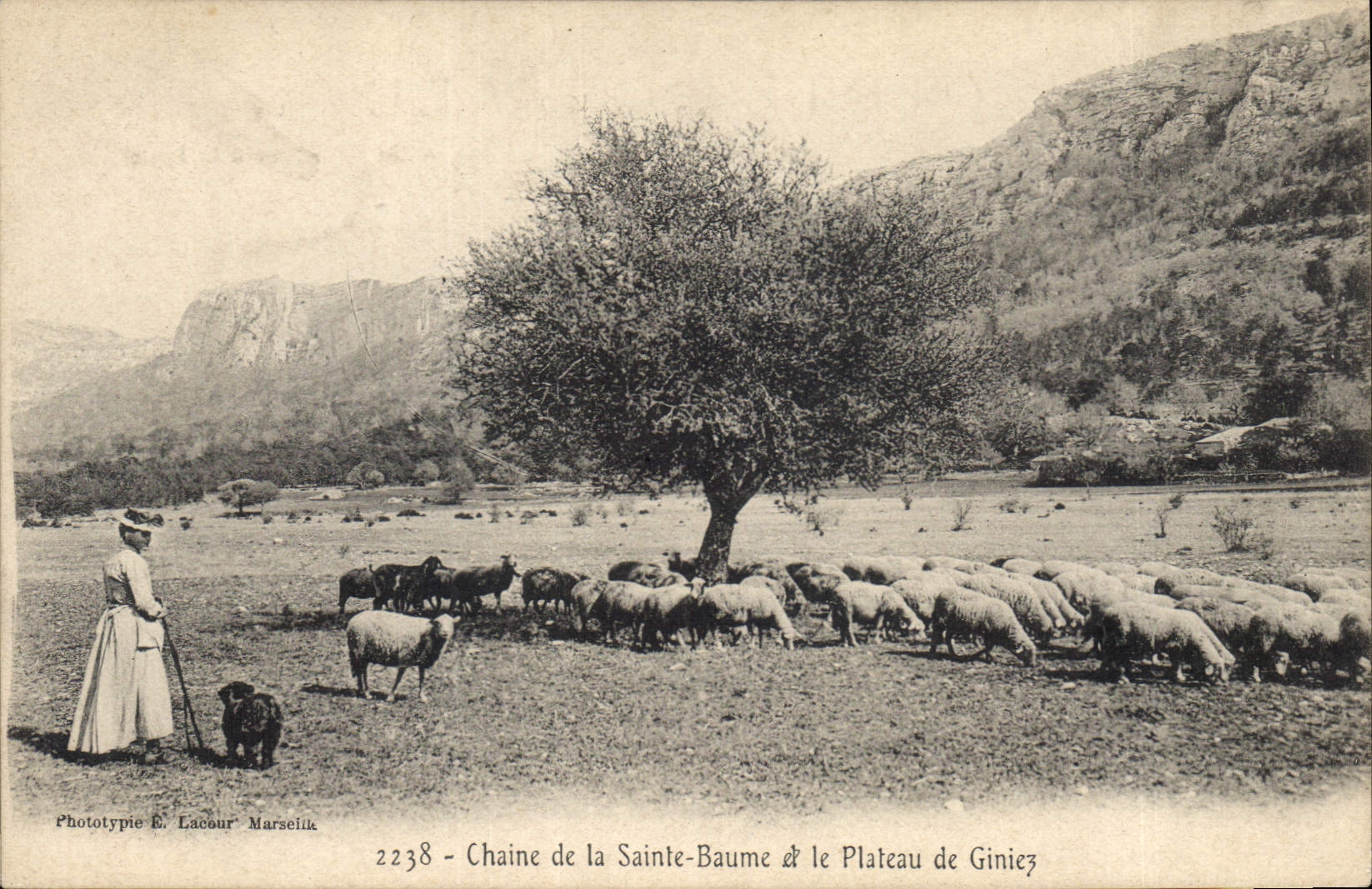 Chaine de la Sainte-Baume & le Plateau de Giniez — Phototypie E. Lacour Marseille — n° 2238