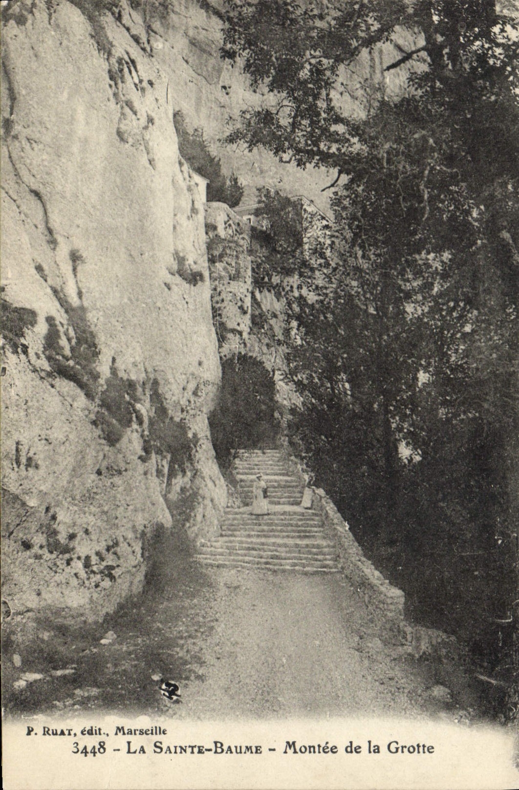 CPA La Sainte Baume Montee de la Grotte 