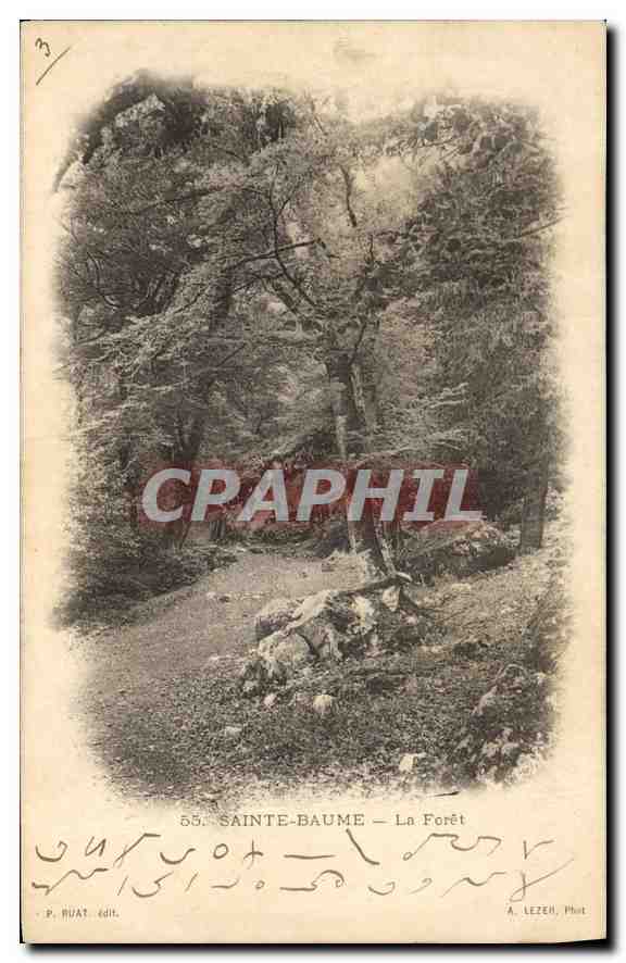 CPA Sainte Baume La Foret 
