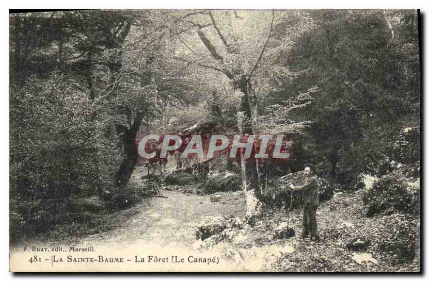 CPA La Sainte Baume La Foret Le Canape 