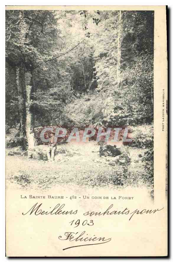 CPA La Sainte Baume Un coin de la Foret 