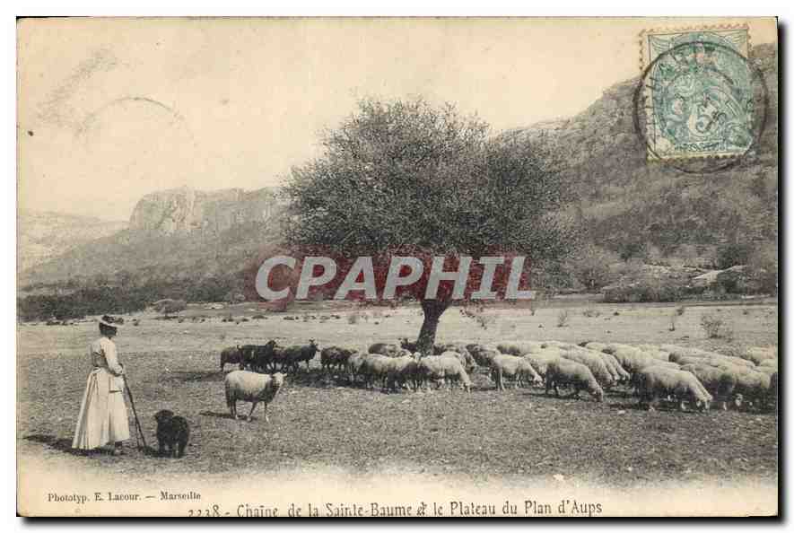 CPA Chaine de la Sainte Baume et le Plateau du Plan d'Aups Moutons