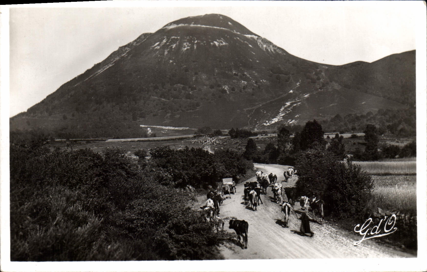 Le Puy-de-Dôme — Blick mit Herde — G.d'O